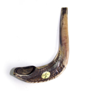 Natural Ram's Horn Shofar 45-49cm - The Peace Of God