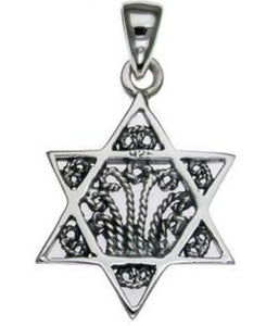 Star of David Sterling Silver Pendant