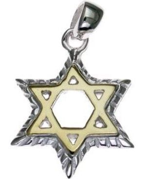 Star of David Sterling Silver Pendant with 14K Gold Plated  Star