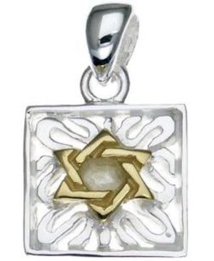 Sterling Silver Pendant with 14K Gold Plated Star of David
