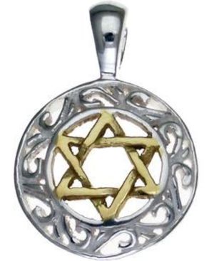 Sterling Silver Pendant with 14K Gold Plated Star of David
