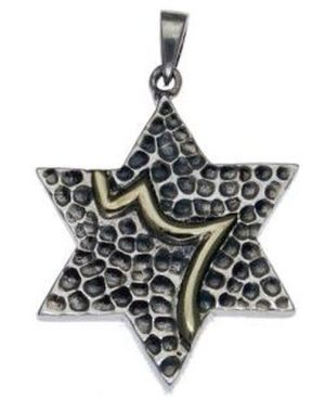 Star of David Sterling Silver Pendant and 9K God