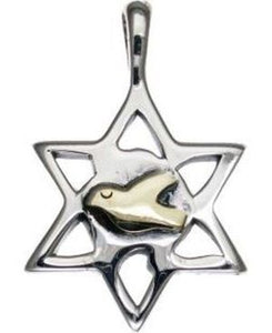 Star of David Sterling Silver Pendant with 9K Gold Dove