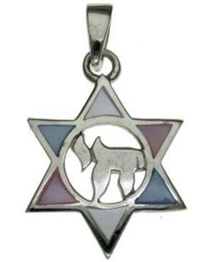 Sterling Silver Pendant Style B5761
