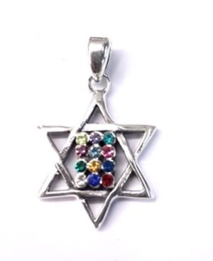 Sterling Silver Pendant Style B6623