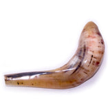 Natural Ram's Horn Shofar 30-34cm - The Peace Of God