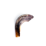 Natural Ram's Horn Shofar 25-29cm - The Peace Of God