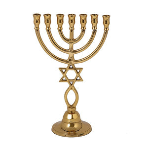 Bronze Menorah 24cm Magen David & Fish